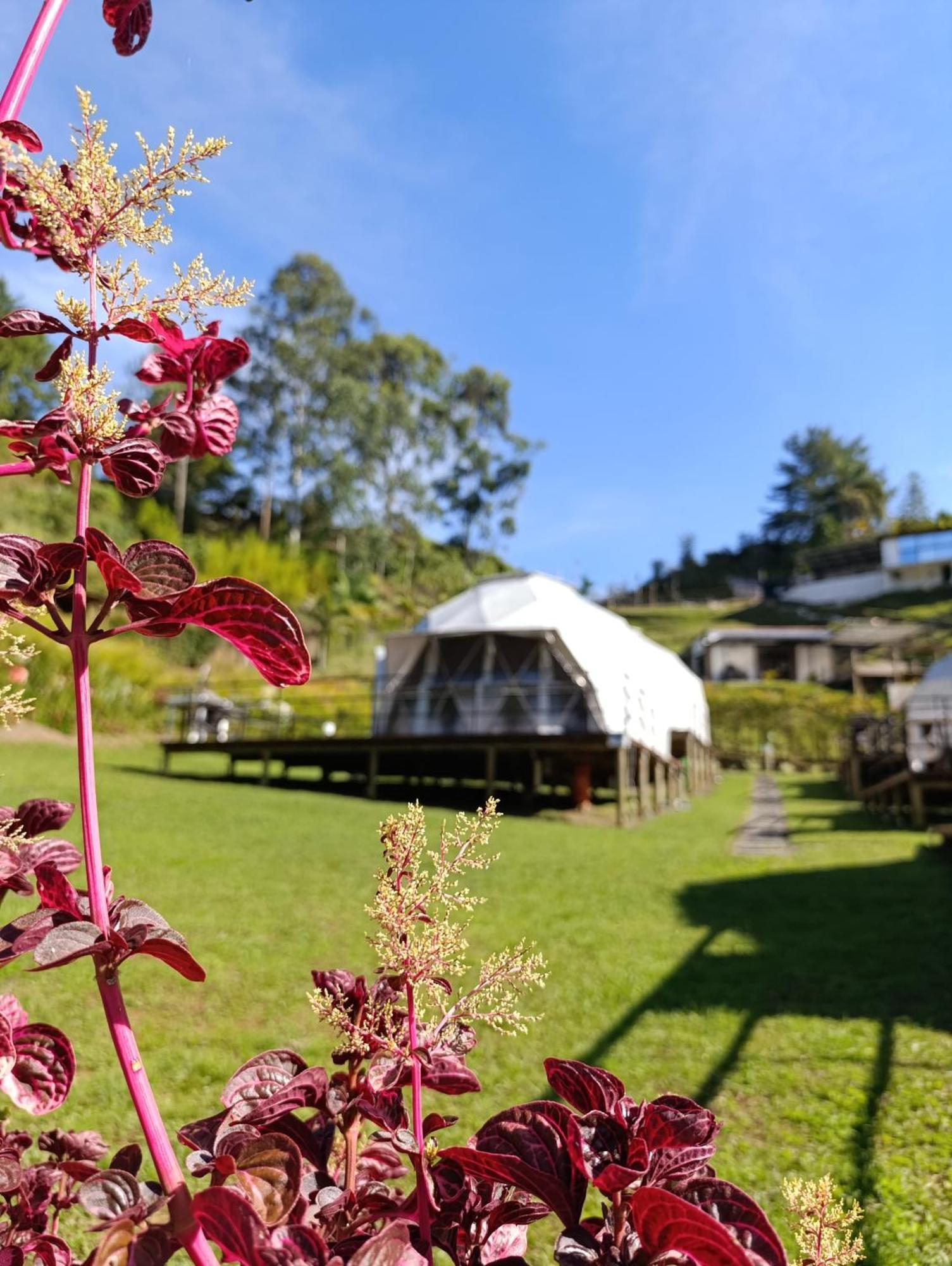 La Quinta Dimensión Glamping Campo de lujo